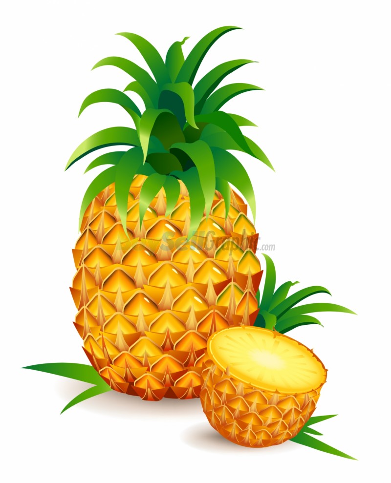 pineapple clipart pineappleclipart fruit clip art photo - WikiClipArt