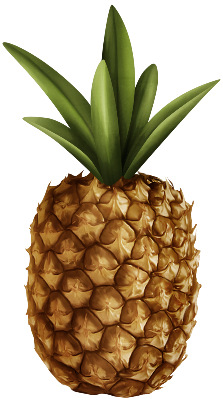 pineapple clipart web - WikiClipArt