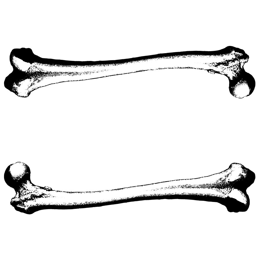 clipart human bones - photo #18