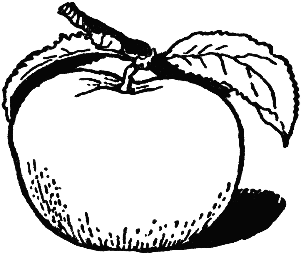 clipart of apple black and white - photo #40