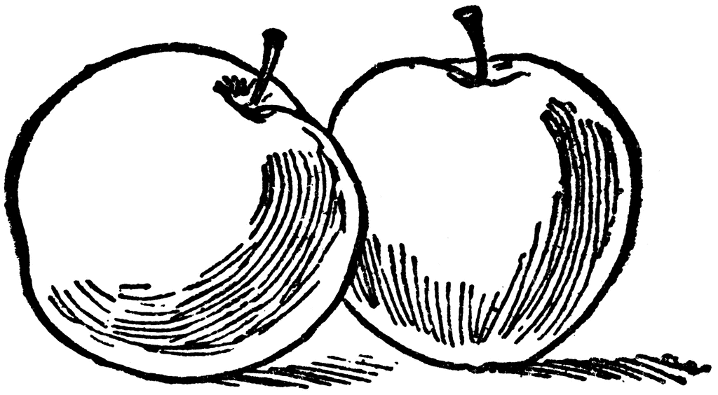 clipart apple black and white - photo #31