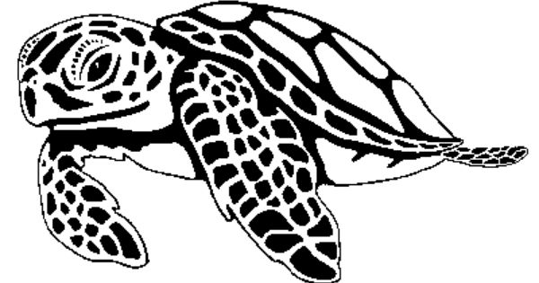 free black and white turtle clip art - photo #30