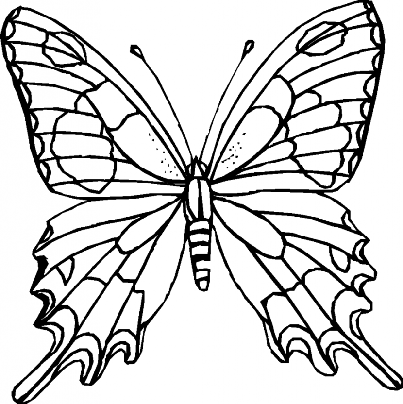 free black and white clipart of butterflies - photo #37