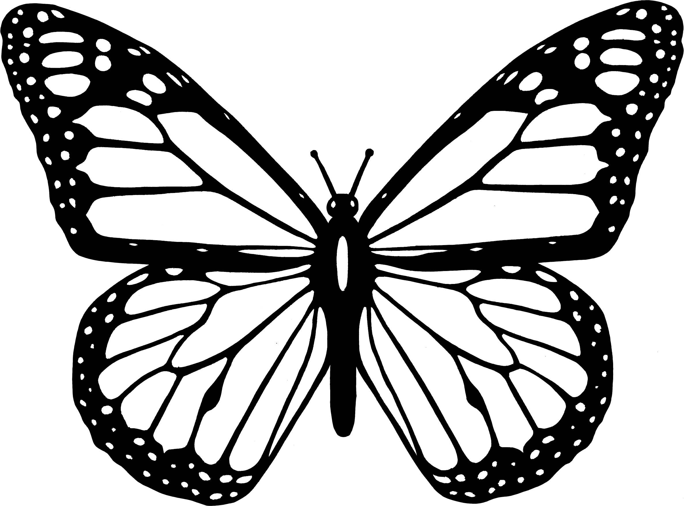 free black white butterfly clip art - photo #39