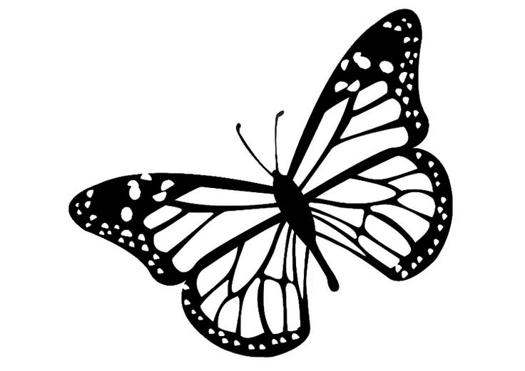 free black and white clipart of butterflies - photo #22