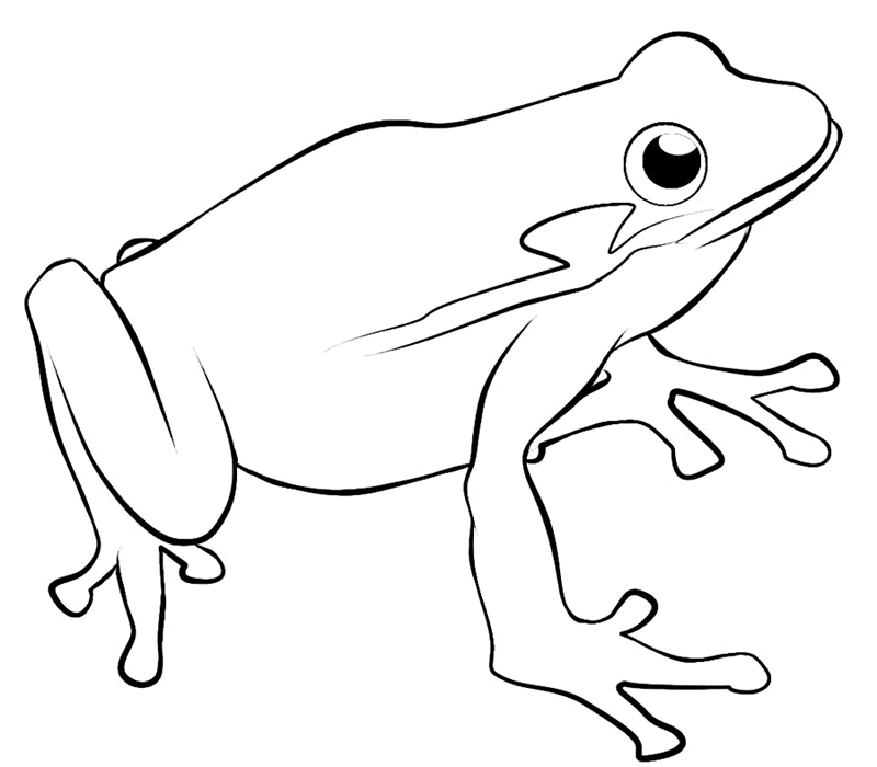 frog clipart free black and white - photo #23