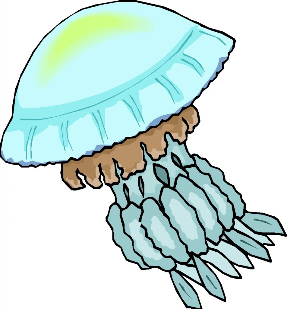 free cartoon jellyfish clipart - photo #42