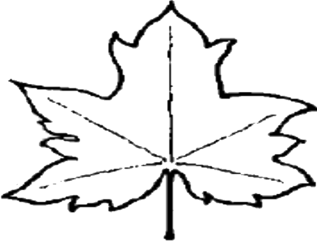 free clipart leaf outline - photo #14