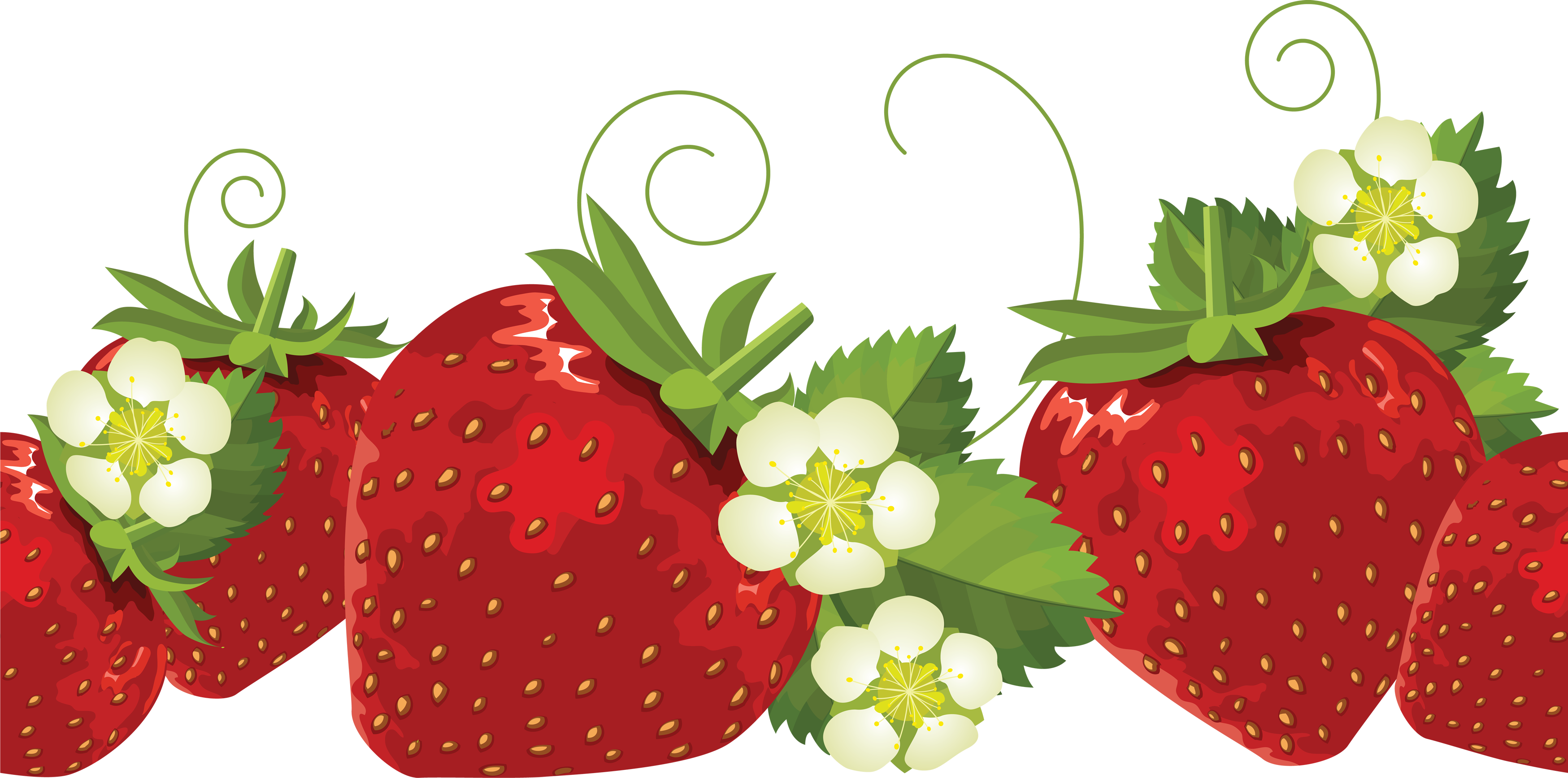 strawberry clipart vector - photo #29