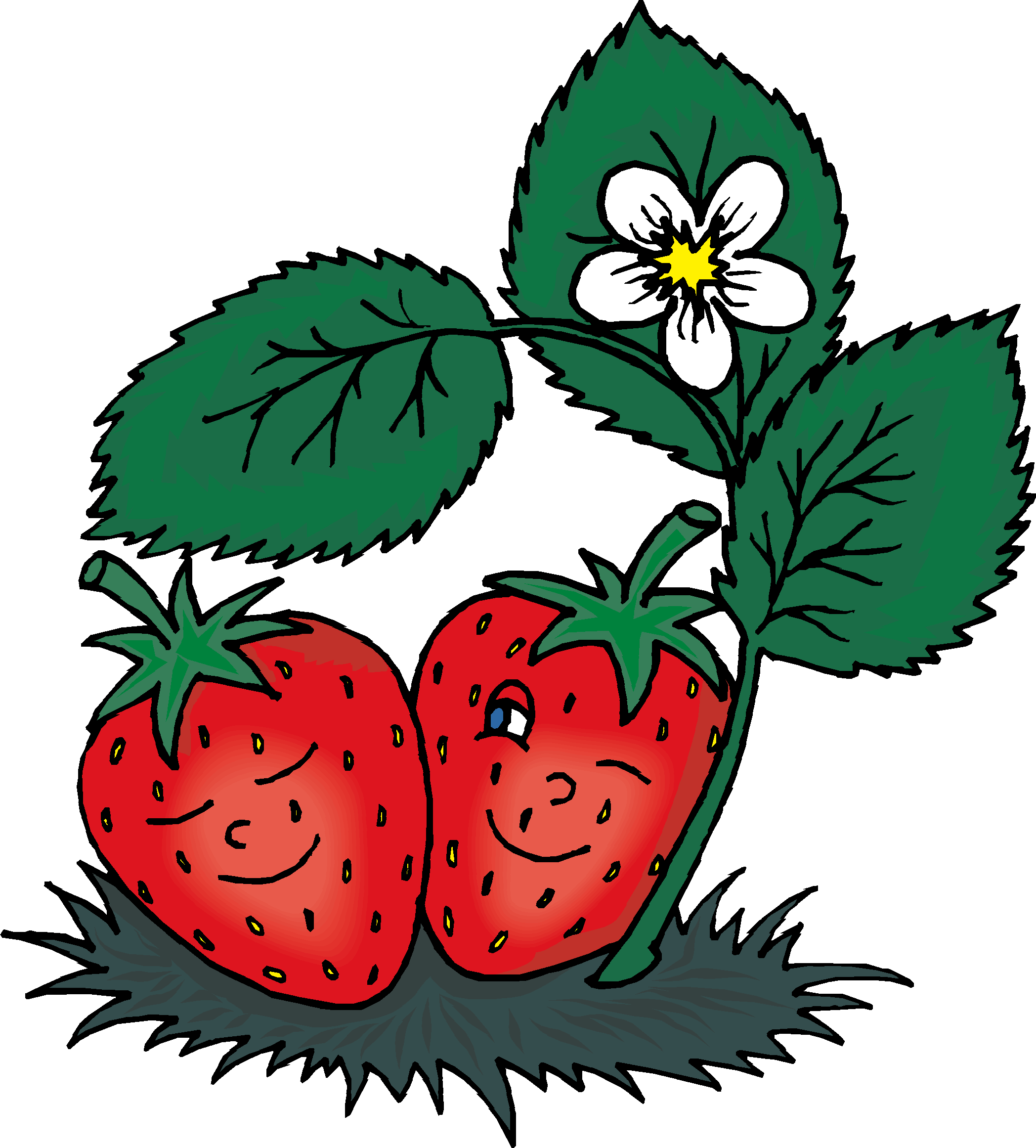 strawberry field clipart - photo #43