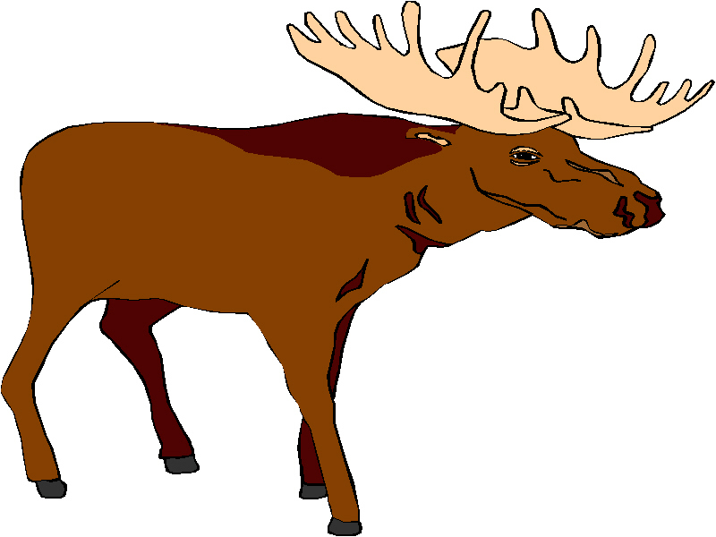 free clip art cartoon moose - photo #11