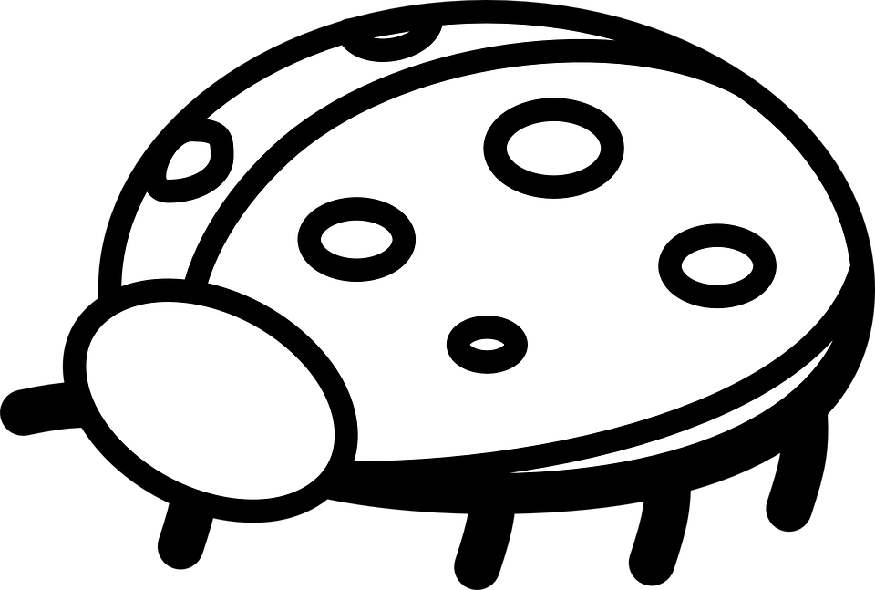 free vector ladybug clipart - photo #18