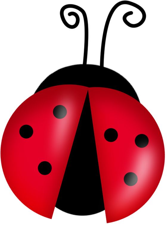 ladybug outline clip art - photo #34