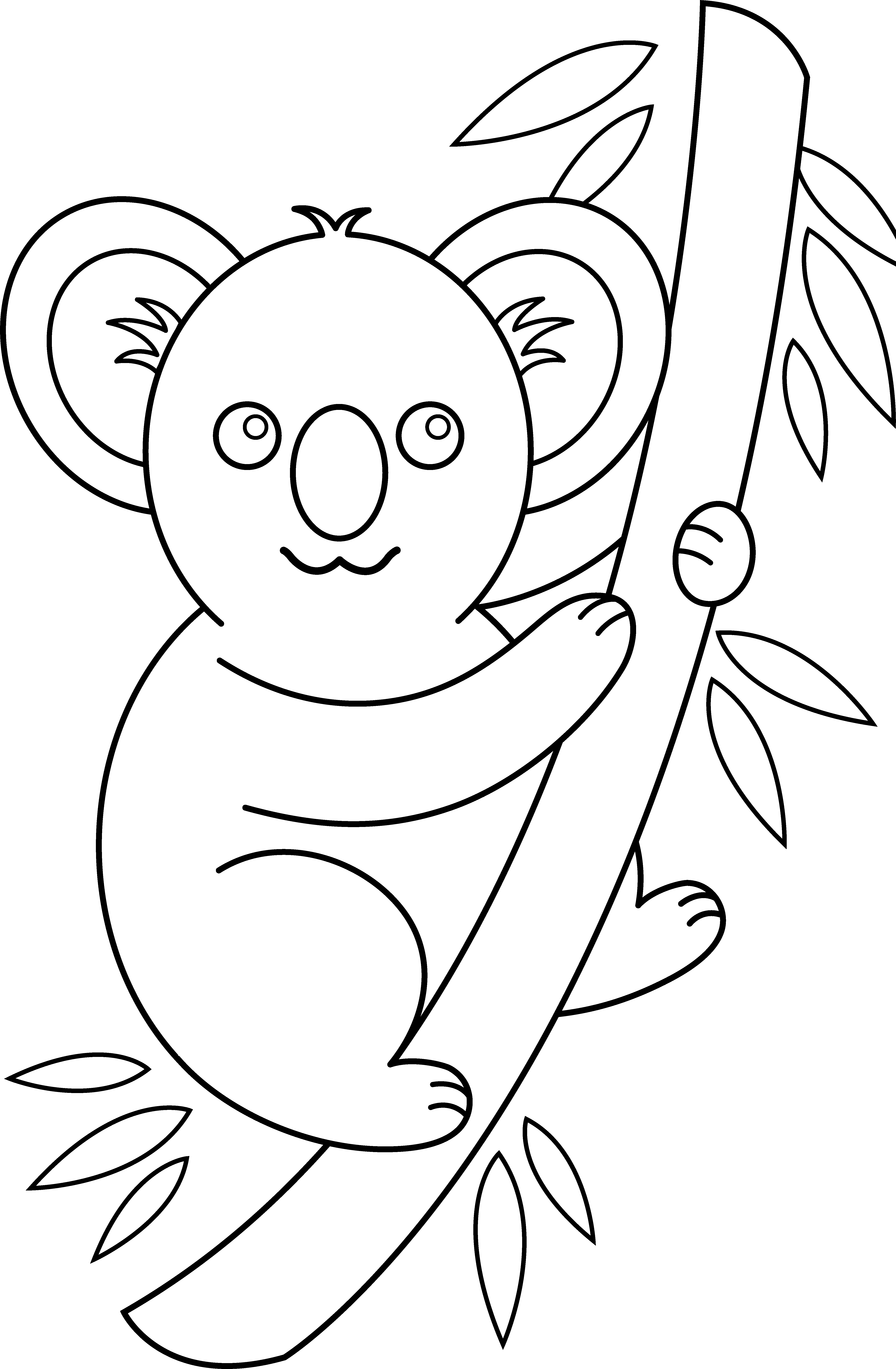 koala clipart black and white - photo #4