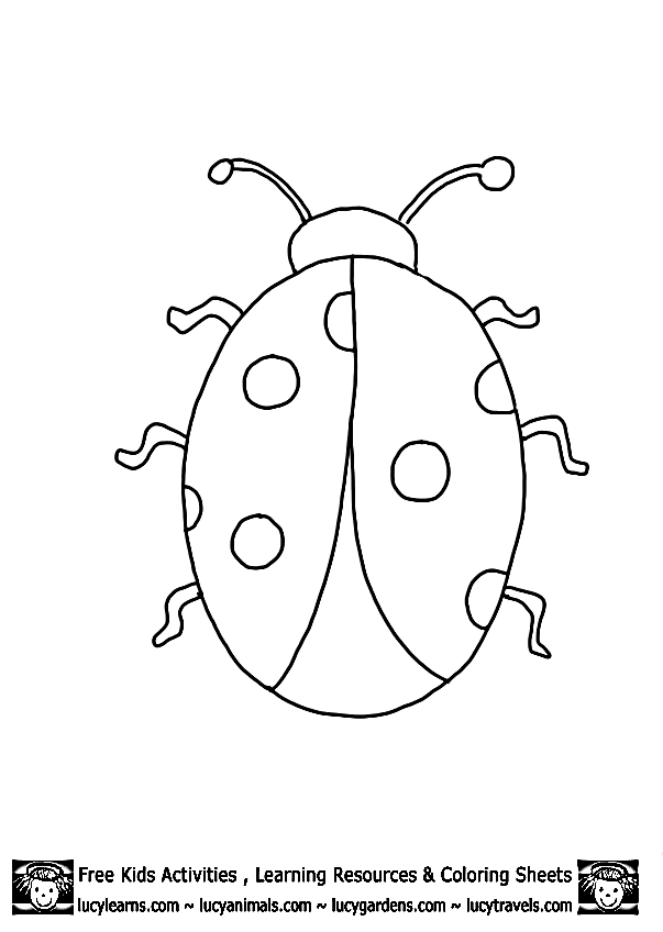 ladybug outline clip art - photo #25