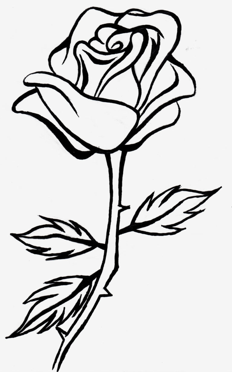 Rose Black And White Free Roses Clip Art Pictures WikiClipArt