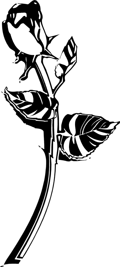 clip art roses black and white - photo #44