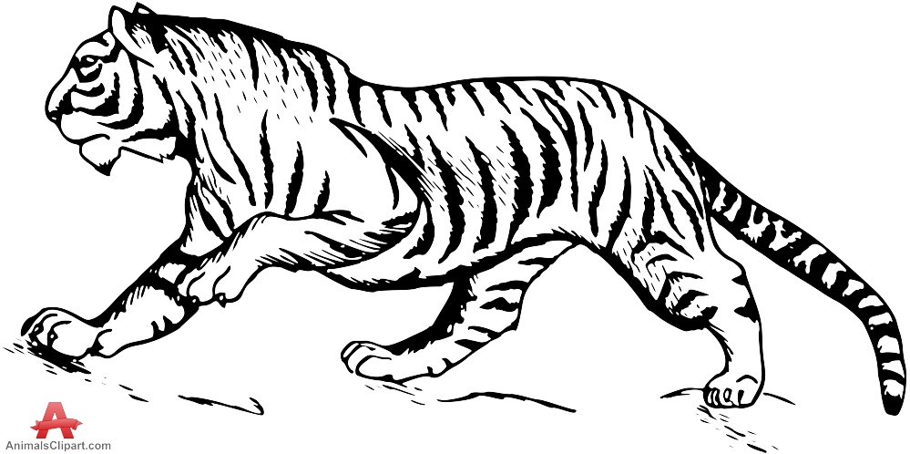 free black and white tiger clipart - photo #6