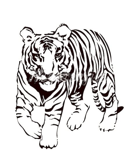free black and white tiger clipart - photo #4