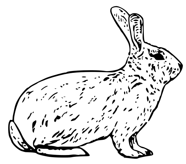 free black and white bunny clipart - photo #16
