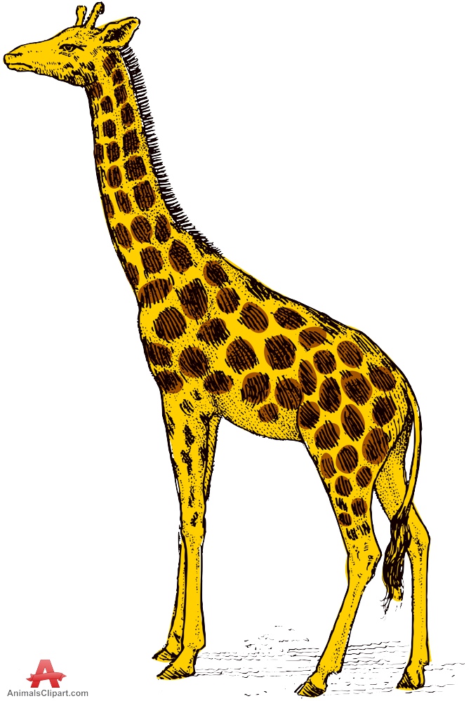 clipart of giraffe - photo #38