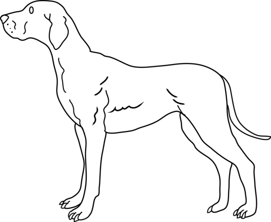 clip art free dogs black and white - photo #12