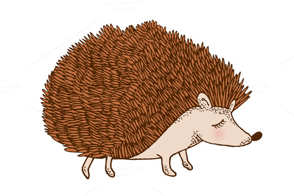 african hedgehog clipart - photo #11