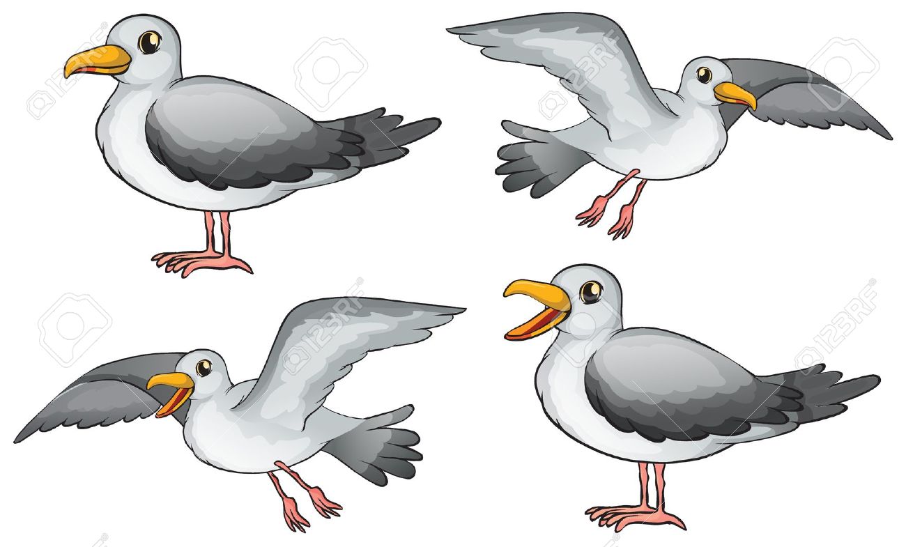 free clip art seagull cartoon - photo #17