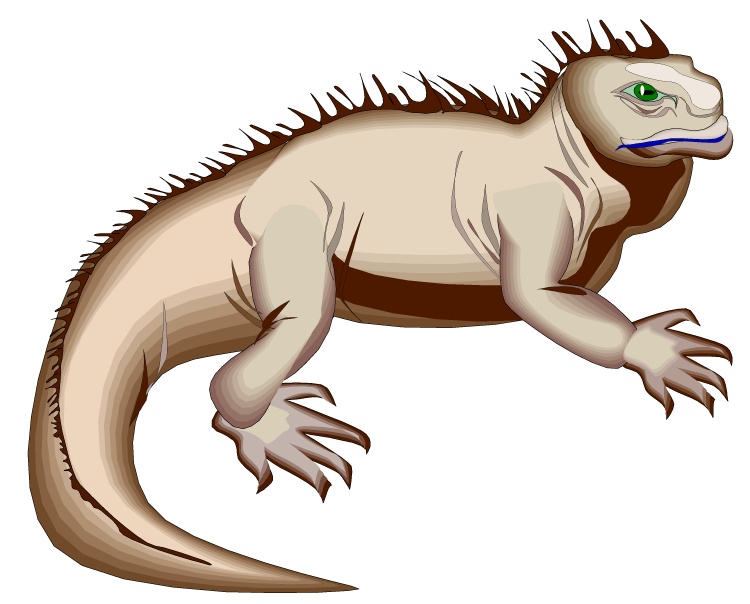 clipart of an iguana - photo #21