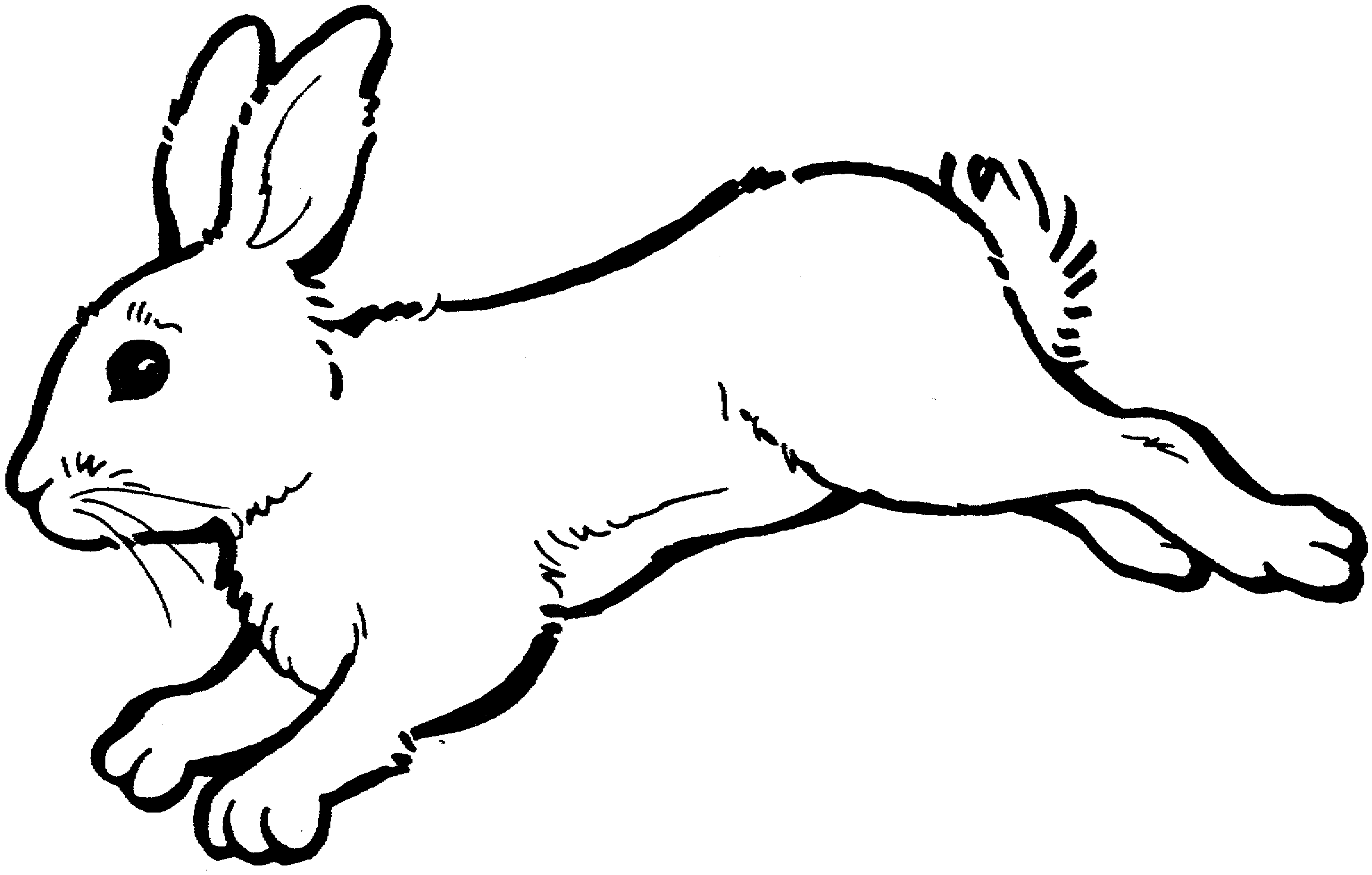 Rabbit black and white bunny black and white clipart 2 - WikiClipArt
