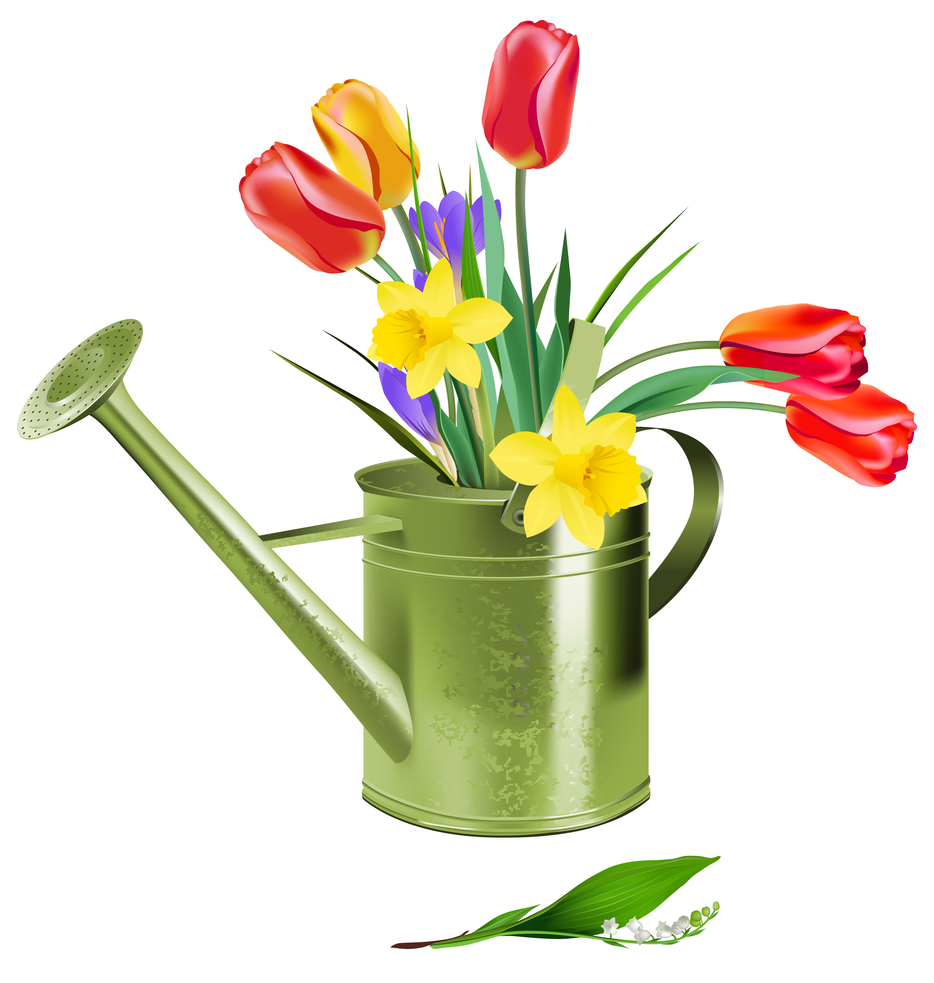 clipart watering plants - photo #36