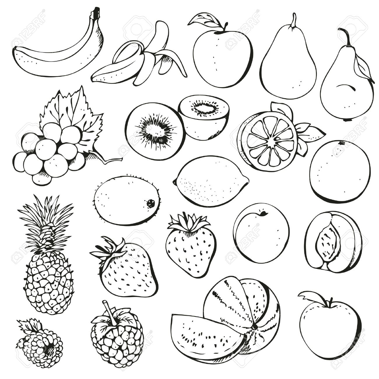 clipart of fruits black and white - photo #37