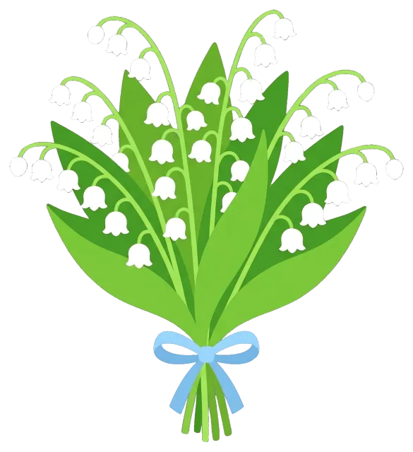 Bouquet of lily of the valley flowers with blue ribbon