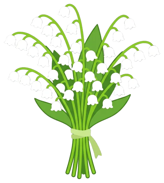 Bouquet of lily of the valley flowers with green leaves
