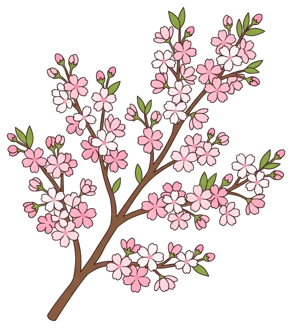 Cherry Blossom Branch with Pink and White Flowers