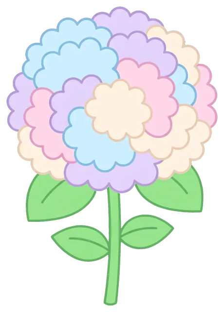 Colorful hydrangea flower with green leaves