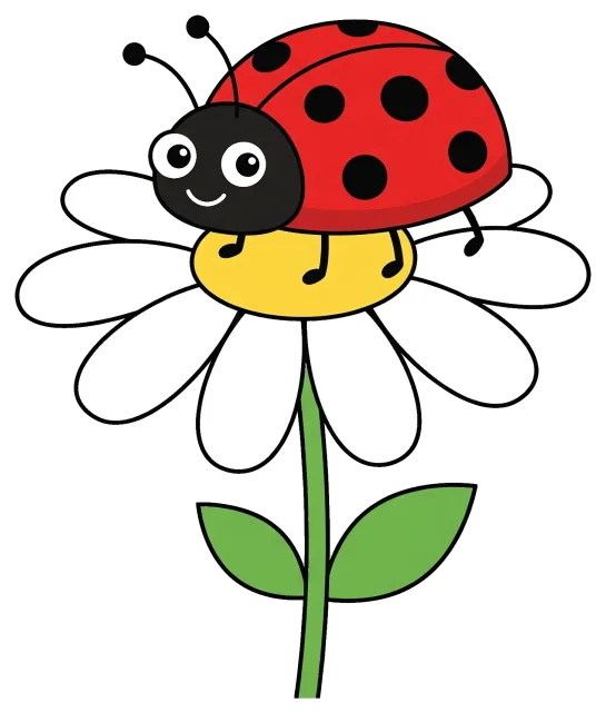 Cute ladybug on a white daisy flower