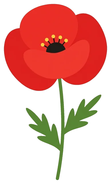 Cute red poppy flower with green leaves