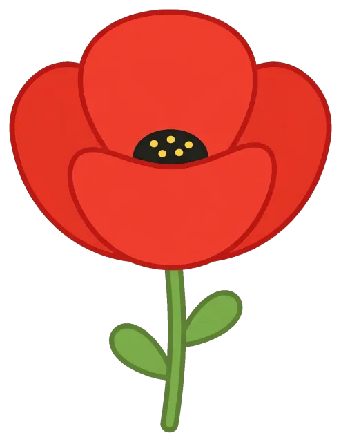 Cute red poppy flower with green stem and leaves