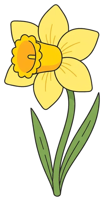 Cute yellow daffodil flower with green leaves