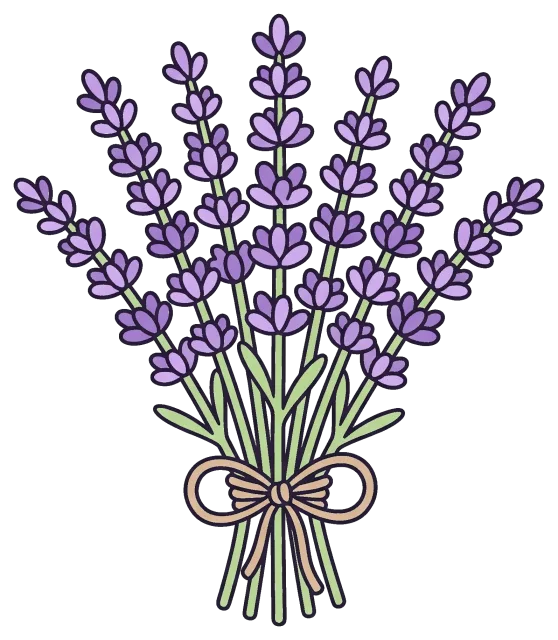 Lavender bouquet tied with a bow
