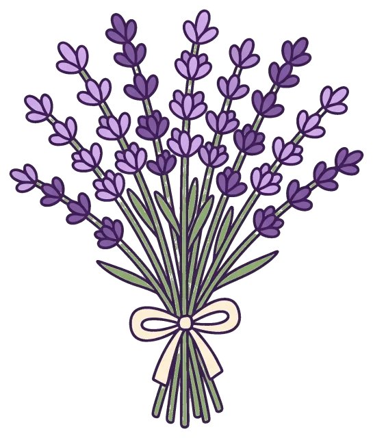 Lavender bouquet tied with a white ribbon