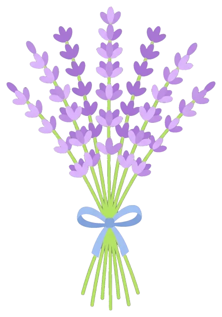 Lavender bouquet tied with blue ribbon