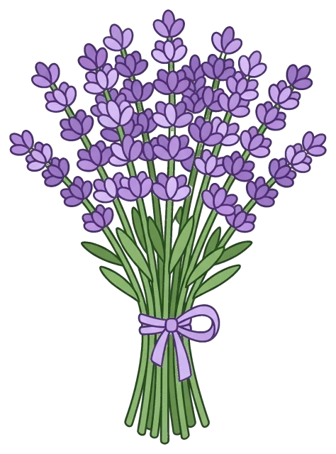Lavender bouquet with purple ribbon