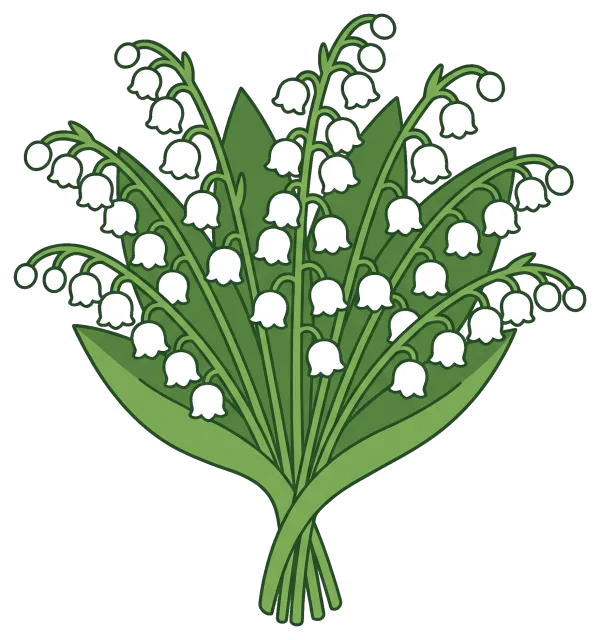 Lily of the valley bouquet with green leaves