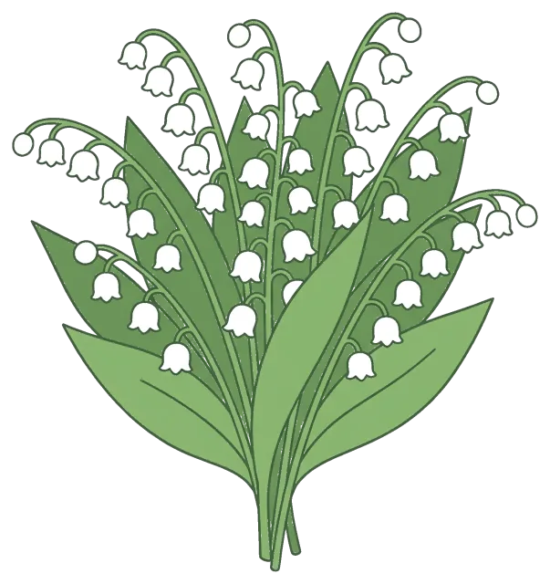 Lily of the valley bouquet with green leaves and white bell flowers