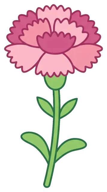 Pink Carnation Flower Cartoon Character