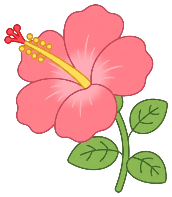 Pink hibiscus flower with green leaves