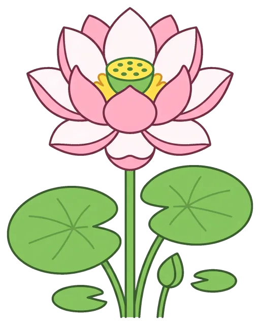 Pink lotus flower with green leaves