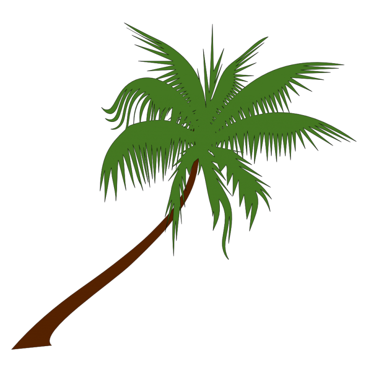 Clip Art Palm Tree Leaves Clipart Wikiclipart 